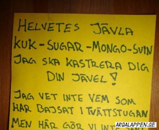 En helvetes jävla kuk-sugar-mongo-svin har bajsat i tvättstugan